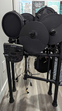 Alesis nitro mesh drum kit 