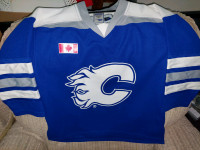 Calgary Flames force athletic shinny jerseys
Youth M/L/XL
$10 ea