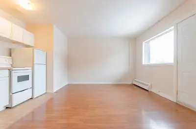 Bright Bachelor Apartment Near Downtown Sudbury