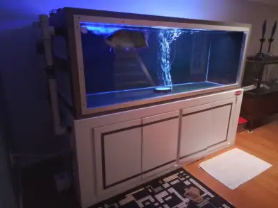 400 gallos plywood aquarium, View more