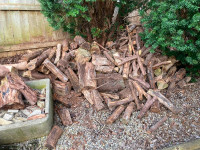 Free Firewood