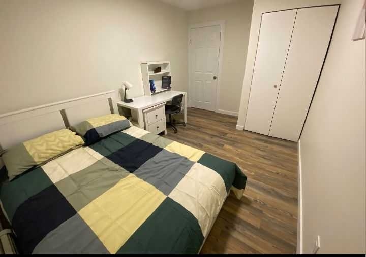 Room for rent in basement 2