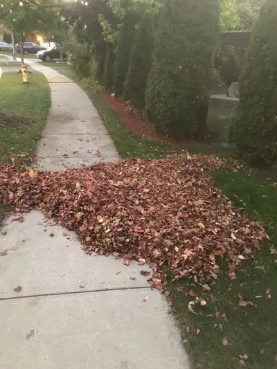 It’s about that time of the year again and we’re here to assist you with any of your spring cleanup...