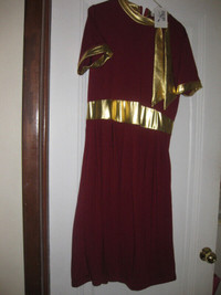 Red Wine / Gold Contrast Dress
