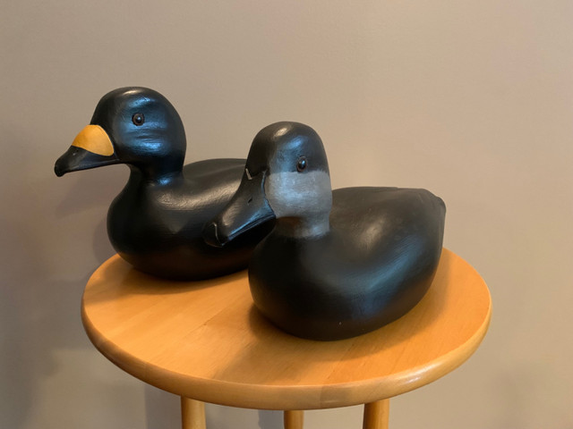 Paire d’appelants / sculptures de canards (macreuse)  dans Art et objets de collection  à Ville de Montréal