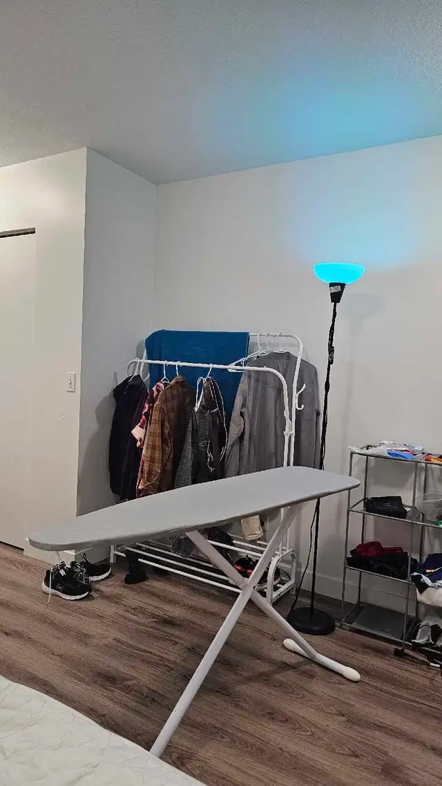 Ironing Board508096569264066562