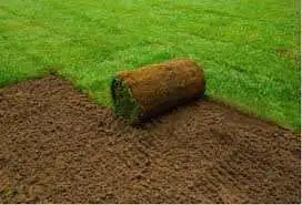 Are you planning on putting new sod on your property? I can help you load and unload it, and help yo...