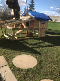 Mobile Chicken coop and run