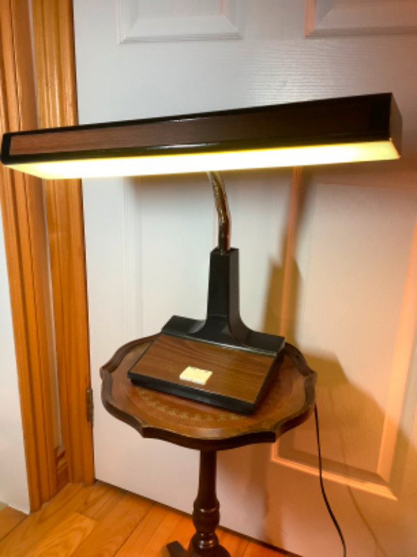 Vintage Mid Century Art Deco Style Goose Neck Desk/Table Lamp in Indoor Lighting & Fans in Belleville