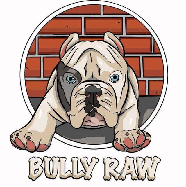 Quality Raw Dog Food in Accessories in City of Toronto