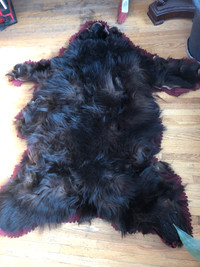 Black bear rug 