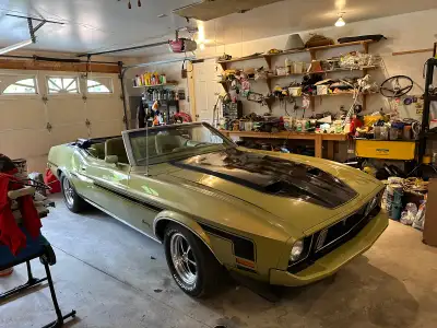 1973 Ford Mustang Convertable. Rust free,small block automatic. Avocado green. 15 inch aluminum magn...