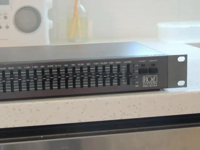 Ross RX-31M Mono/Single Channel Equalizer-31 bands in Performance & DJ Equipment in Mississauga / Peel Region - Image 5