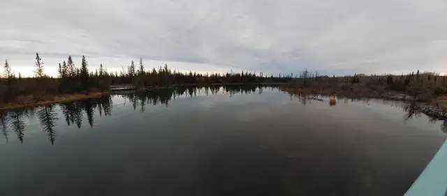 Quality Friends (still looking for)64520048560898120