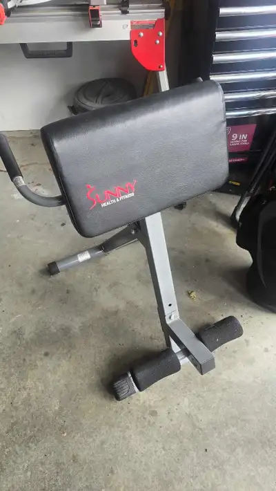Roman chair with dip station, View more