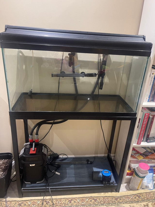 Aquarium complet 34 gallons, accessoires & filtre dans Autre  à Ville de Montréal