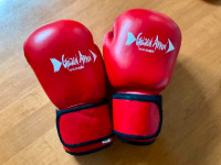 *Leather* Cherry Red Boxing Gloves