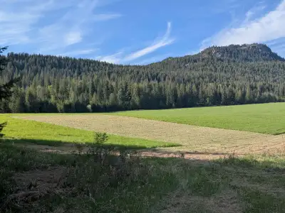 Suite available on farm with the option to access additional land and/or assist with current farming...