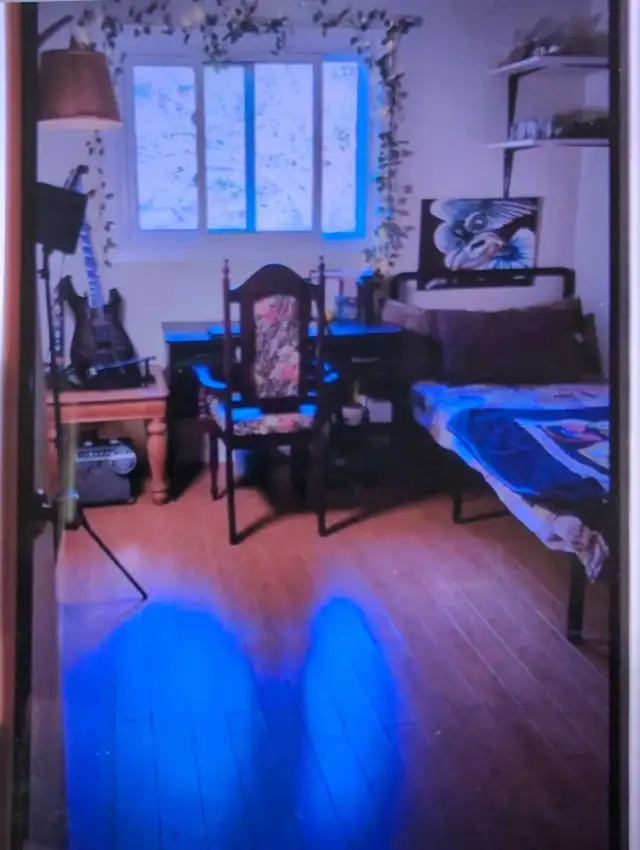 Room on rent  in Long Term Rentals in City of Toronto - Image 2