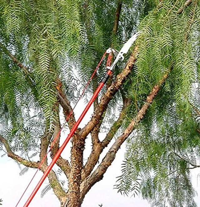 Tree pruner/lopper in Outdoor Tools & Storage in St. Catharines - Image 3