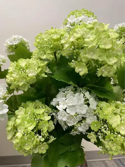 Real-Looking Floral Stems for Home & Events, View more