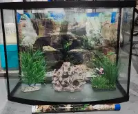 Fish tank with everything needed no fish 