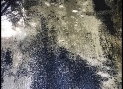 brunsville oriental 7 x 5 feet area rug, View more