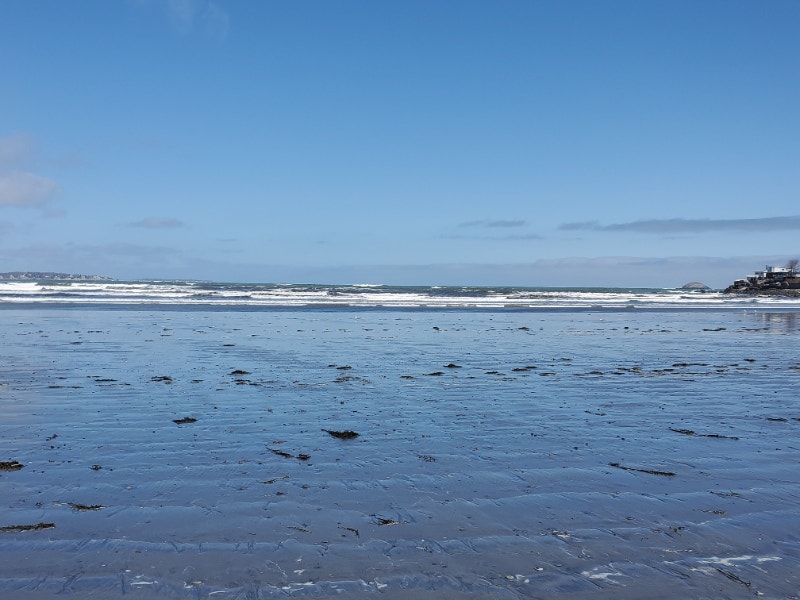 Im looking for 2 bedroom apartment in Alta Vista or Nepean area Long