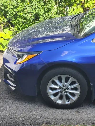 Looking for corolla hood,.only aluminum one please.