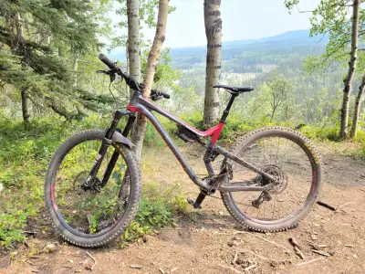 2019 Commencal Meta TR 29 Race (Large), View more