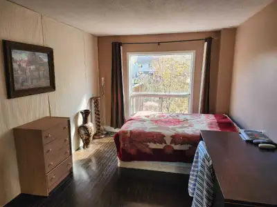 Furnished room South Guelph