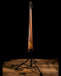 Electric Upright Bass Ibanez