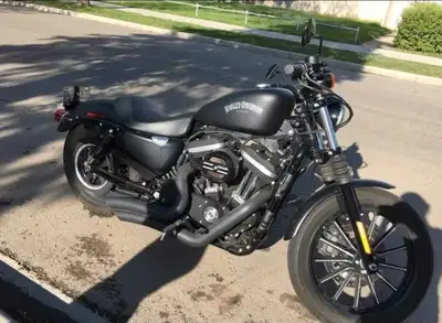 2014 883 flatblack sportster less then 1000 kms on it. Bought as a gift. Hoping for a quick sale ope...