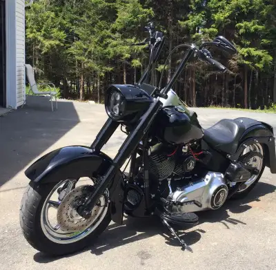 Fatboy Lo Custom, SEE PICTURE FOR DESCRIPTION, TRADES plus cash CONSIDERED