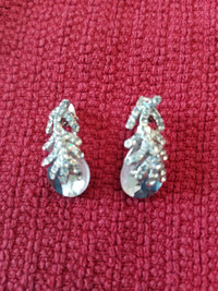 Gorgeous sparkling earrings