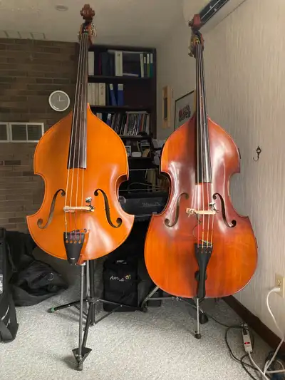 David Gage Strings Czech-Ease Acoustic Road Bass, View more