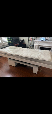 Spa / Esthetics / Massage Electrical Table/Bed