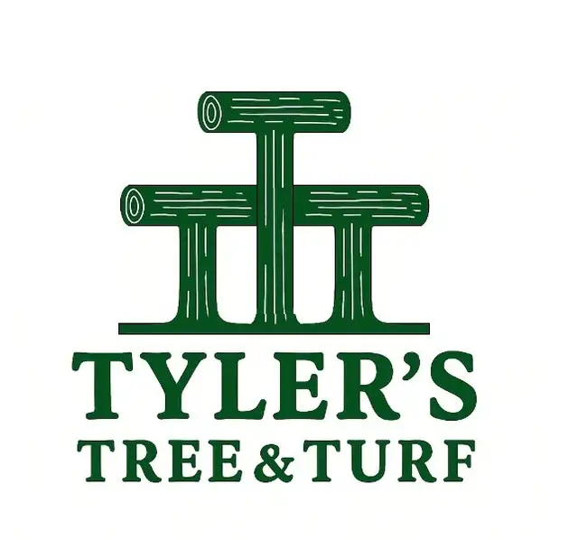 Tree service in Muskoka