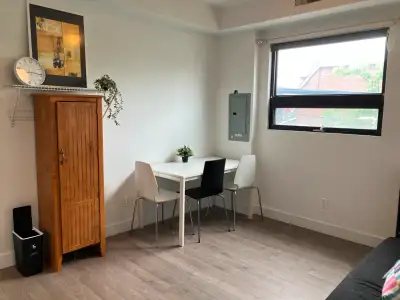 3 Bedroom Apartment in the Annex