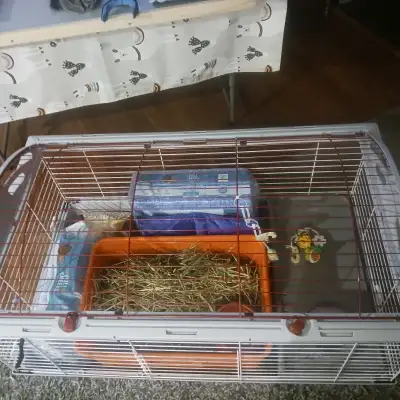 Everything you need to start up for small animal. Large cage with hay feeder and hideout, food dish,...