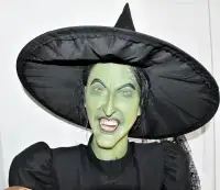 Extremely rare! Gemmy Wizard of Oz Wicked Witch of The West