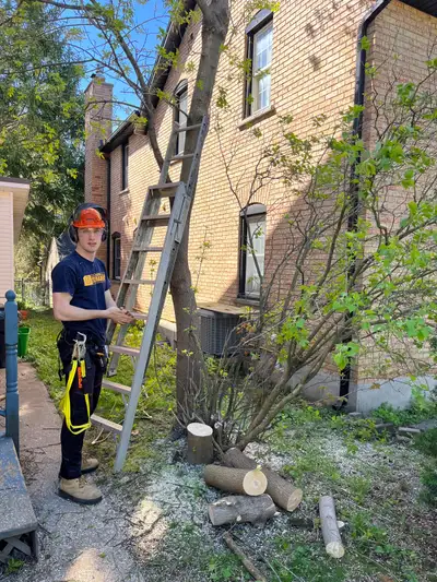 Ben’s Tree Care, View more