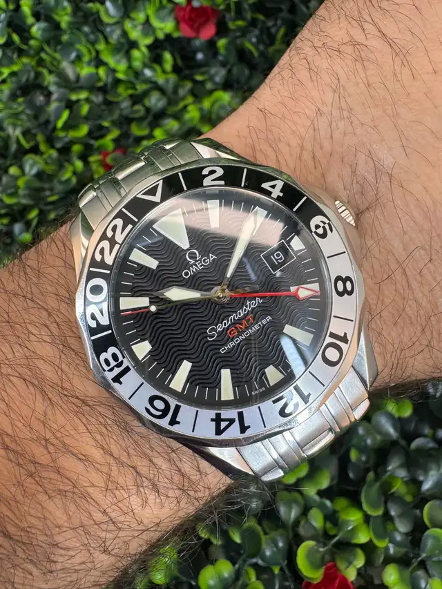 OMEGA Seamaster GMT 50th Anniversary 41mm 2534.50.00 Automatic 