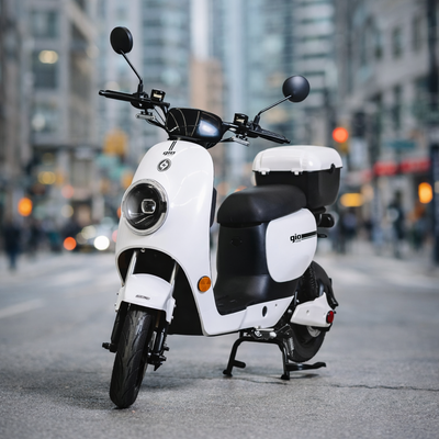 *VENTE* GIO Italia Ultra 2025 – Élégance Italienne, 100 % Légal, View more