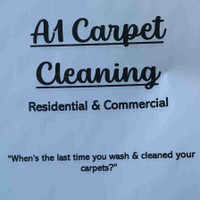 A1 Carpet Cleaning 