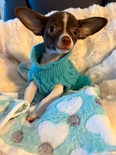 . Fall in Love This Valentine’s Day, View more