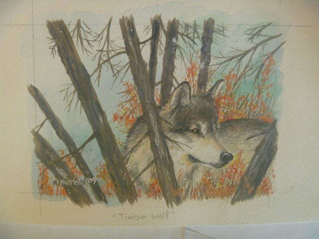 More Timber Wolf ORIGINAL ART - various sizes in Arts & Collectibles in Winnipeg - Image 4