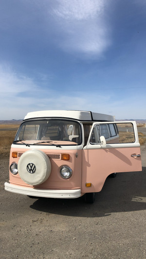 1974 Volkswagen Bus / Vanagon