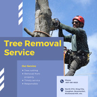 Tree cutting and removal service - North GTA