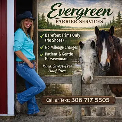 farrier service, View more